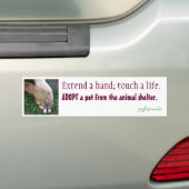 Een hand uitbreiden; een leven aanraken bumpersticker (Op auto)