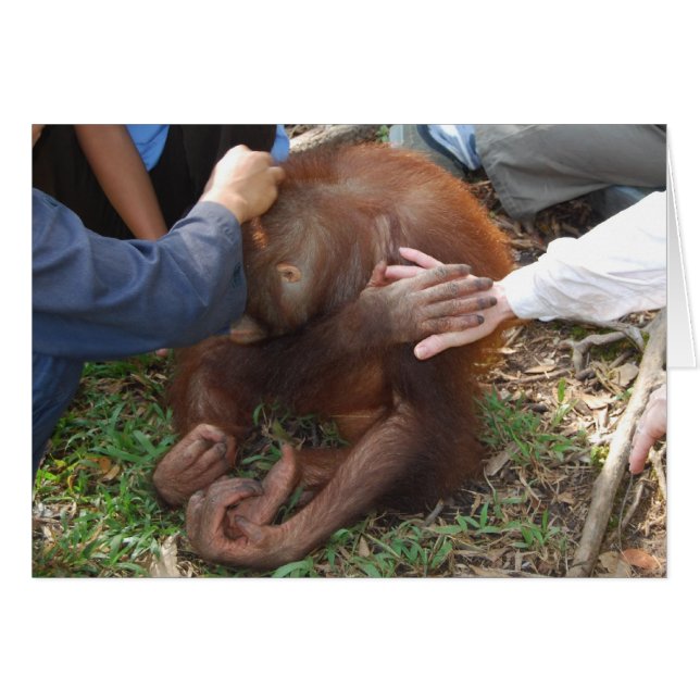 Een handje voor orangutanen (Voorkant Horizontaal)