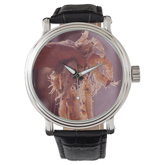 Een handvol garnalen horloge (Voorkant)