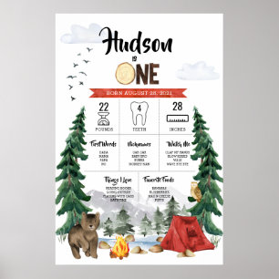 Een Happy Camper 1st Birthday Milestone Grafiek Poster