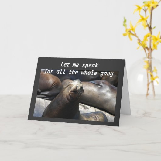 EEN HAREM VAN SEALS VOOR UW 40ste Kaart (Gele Bloem)