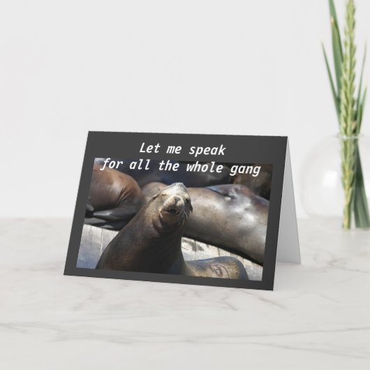 EEN HAREM VAN SEALS VOOR UW 40ste Kaart (Voorkant)