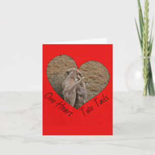 Een hart twee staarten - Puppies lopen samen Kaart