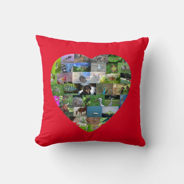 Een hart voor dieren - in rood kussen (Voorkant)