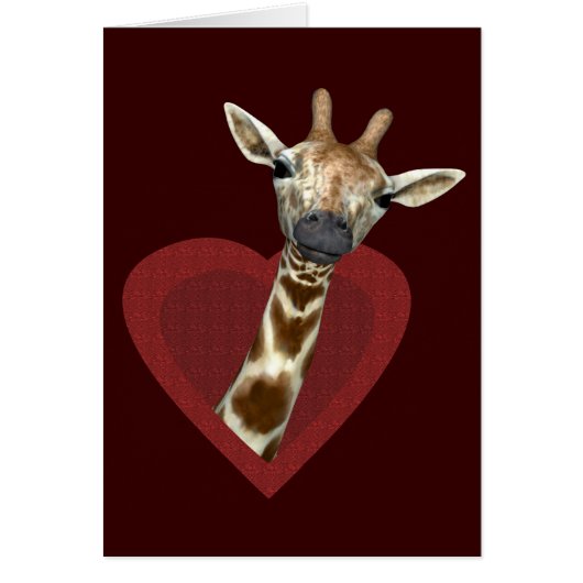 Een hart voor Giraffes (Voorkant)