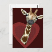 Een hart voor Giraffes Briefkaart (Voorkant / Achterkant)