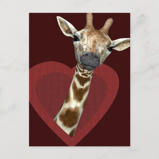 Een hart voor Giraffes Briefkaart (Voorkant)