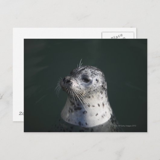 Een havenzegel briefkaart (Voorkant / Achterkant)