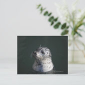 Een havenzegel briefkaart (Staand voorkant)