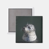 Een havenzegel magneet (Voorkant / Achterkant)