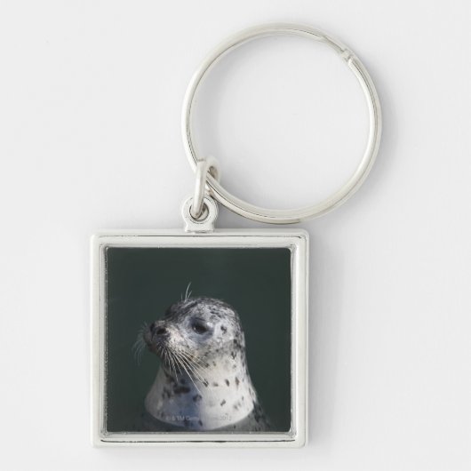 Een havenzegel sleutelhanger (Voorkant)