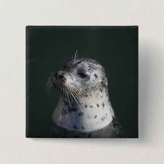 Een havenzegel vierkante button 5,1 cm (Voorkant)