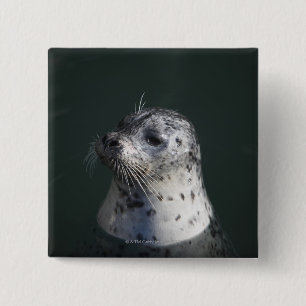 Een havenzegel vierkante button 5,1 cm