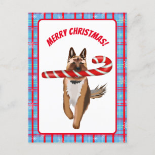 Een heel Duits Shepherd Candy Cane Kerstmis Briefkaart