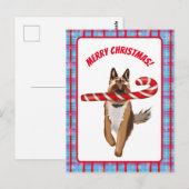 Een heel Duits Shepherd Candy Cane Kerstmis Briefkaart (Voorkant / Achterkant)