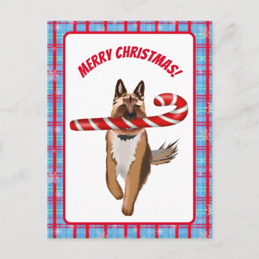 Een heel Duits Shepherd Candy Cane Kerstmis Briefkaart (Voorkant)