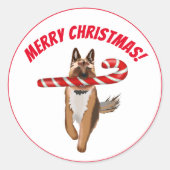 Een heel Duitse Herders Kerst Kandijstok Kerstmis Ronde Sticker (Voorkant)