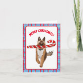 Een heel Duitse-herdershond Kandijstok Kerstmis Kaart (Voorkant)