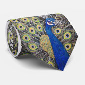 Een heel mooi Peacock stropdas (Opgerold)