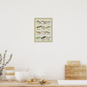 Een heel vissenprint poster (Keuken)