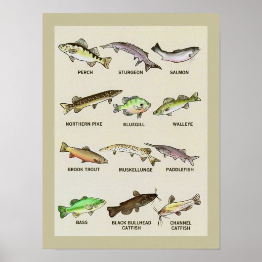 Een heel vissenprint poster (Voorkant)