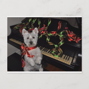 Een heel witte kerst feestdagenkaart