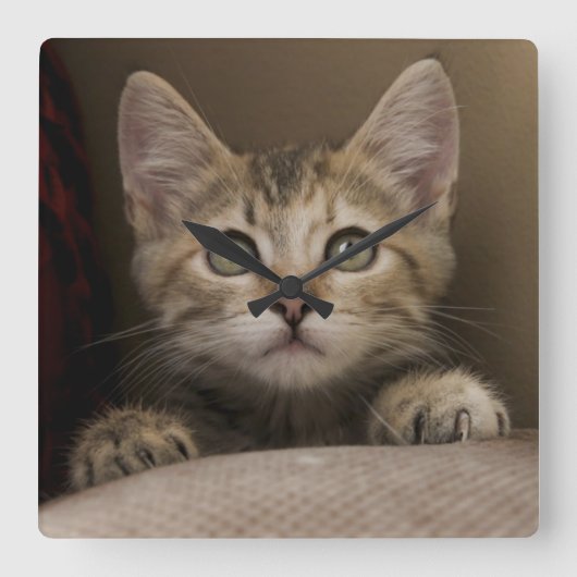 Een heel zoete tabby kitten vierkante klok (Voorkant)