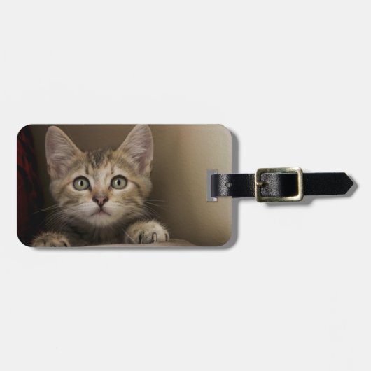 Een heel zoete tablet Kitten Bagagelabel (Voorkant horizontaal)