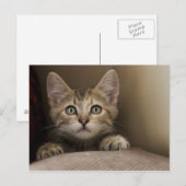 Een heel zoete tablet Kitten Briefkaart (Voorkant / Achterkant)