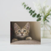 Een heel zoete tablet Kitten Briefkaart (Staand voorkant)