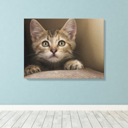 Een heel zoete tablet Kitten Canvas Afdruk (Insitu (Houten vloer))