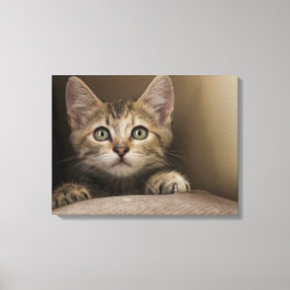 Een heel zoete tablet Kitten Canvas Afdruk