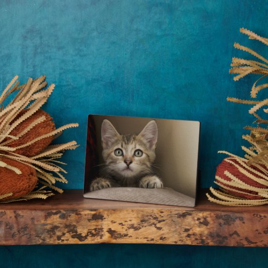 Een heel zoete tablet Kitten Fotoplaat (Zijkant)