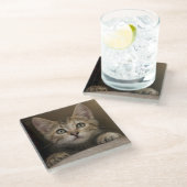 Een heel zoete tablet Kitten Glazen Onderzetter (Schuin)
