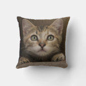 Een heel zoete tablet Kitten Kussen (Achterkant)