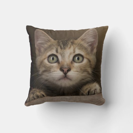 Een heel zoete tablet Kitten Kussen (Achterkant)