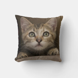 Een heel zoete tablet Kitten Kussen