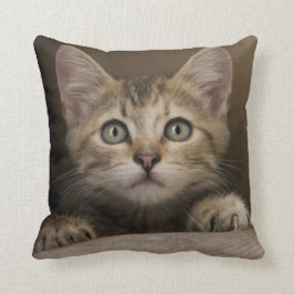 Een heel zoete tablet Kitten Kussen