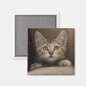 Een heel zoete tablet Kitten Magneet (Voorkant / Achterkant)