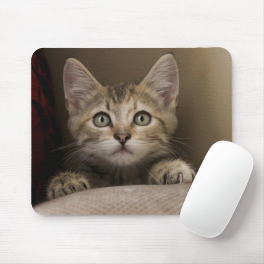 Een heel zoete tablet Kitten Muismat (Met muis)