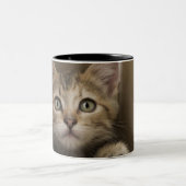 Een heel zoete tablet Kitten Tweekleurige Koffiemok (Center)