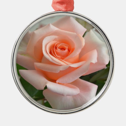 Een heerlijk roze roos premium rond Ornament (Voorkant)