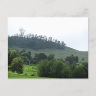 Een heldere patch Upcountry Briefkaart