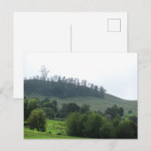 Een heldere patch Upcountry Briefkaart (Voorkant / Achterkant)