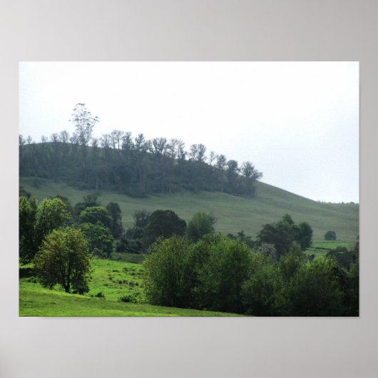 Een heldere patch Upcountry Poster (Voorkant)