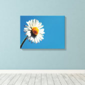 Een heldere Witte Daisy onder een Big Blue Sky Canvas Afdruk (Insitu (Houten vloer))