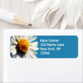 Een heldere Witte Daisy onder een Big Blue Sky Etiket (Insitu)