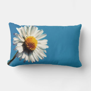 Een heldere Witte Daisy onder een Big Blue Sky Kussen