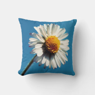 Een heldere Witte Daisy onder een Big Blue Sky Kussen