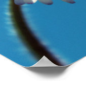 Een heldere Witte Daisy onder een Big Blue Sky Poster (Hoek)